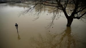 Seine Nehri yükselmeye devam ediyor